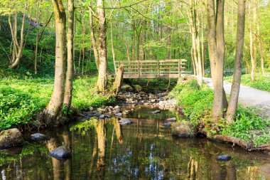 North Yorkshire, İngiltere'de Wharfedale, Bolton Abbey, nehir Wharfe yakın. Footpathand karayolu üzerinde yerel küçük köprü.