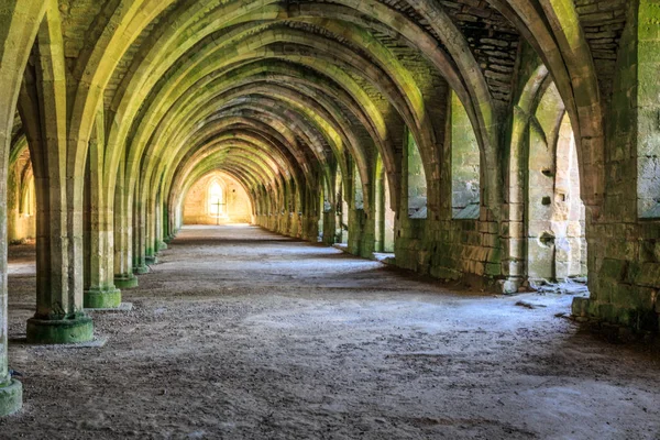 İngiltere'de, North Yorkshire, Ripon. Çeşmeler Abbey, Studley Royal. UNESCO dünya mirası. Cistercian Manastırı. Gıda saklandığı kalıntıları tonozlu cellarium.