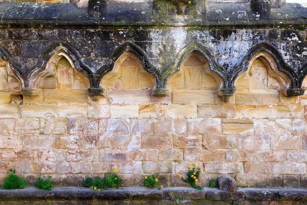 英格兰 北约克郡 喷泉修道院 斯图利皇家 联合国教科文组织世界遗产 国家信托 西斯特西恩修道院 教堂石墙的废墟 — 图库照片
