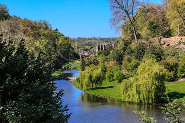 Ripon North Yorkshire Engeland Fountains Abbey Studley Royal Unesco World — Stockfoto