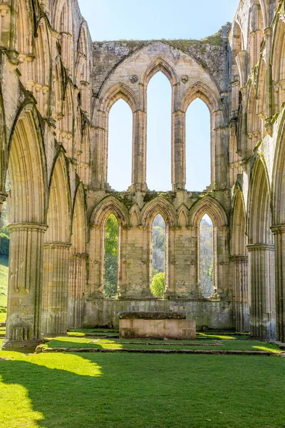 Inglaterra Yorkshire Del Norte Rievaulx Ruinas Cistercienses Abadía Rievaulx — Foto de Stock