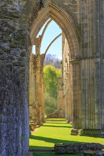 England North Yorkshire Rievaulx Cistercian Ruinerna Rievaulx Abbey — Stockfoto