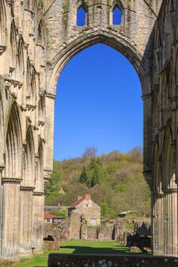 North Yorkshire, İngiltere'de Vilsın. 13 c. manastır kalıntıları Vilsın Abbey.