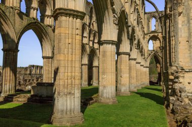North Yorkshire, İngiltere'de Vilsın. 13 c. manastır kalıntıları Vilsın Abbey.