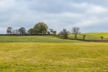 İngiltere, Batı Yorkshire. Manzara, tepeler, vadiler, alanlar, toprakları otlatma mera,.