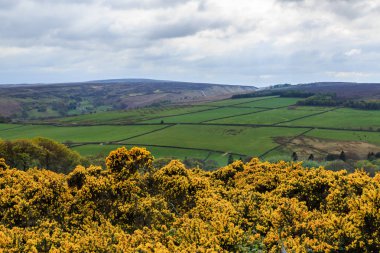 İngiltere, Batı Yorkshire. Manzara, tepeler, vadiler, alanlar, toprakları otlatma mera,.