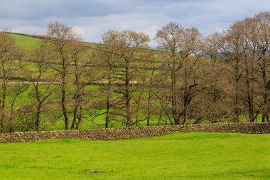 İngiltere, Batı Yorkshire. Manzara, tepeler, vadiler, alanlar, toprakları otlatma mera,.