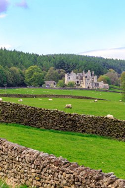 İngiltere, Batı Yorkshire. Manzara, tepeler, vadiler, alanlar, toprakları otlatma mera. Kalıntılar arasında koyun.