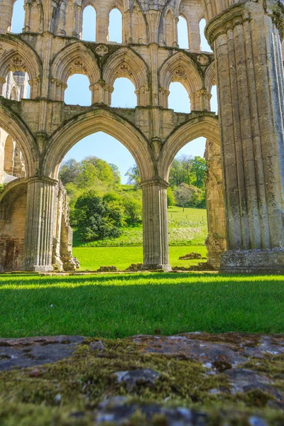 Inghilterra North Yorkshire Rievaulx Xiii Sec Rovine Cistercensi Dell Abbazia — Foto Stock