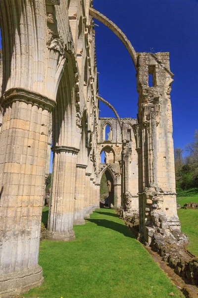 Inglaterra Yorkshire Del Norte Rievaulx Ruinas Cistercienses Abadía Rievaulx — Foto de Stock