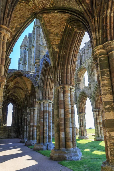 Inghilterra North Yorkshire Whitby Rovine Del Monastero Benedettino Abbazia Whitby — Foto Stock