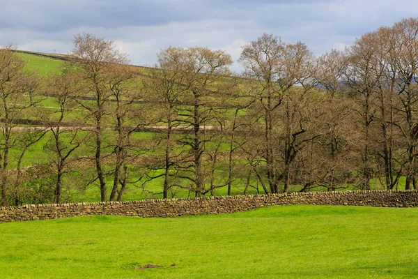 イングランド ウェスト ヨークシャー フィールド 牧草地 土地を放牧 — ストック写真