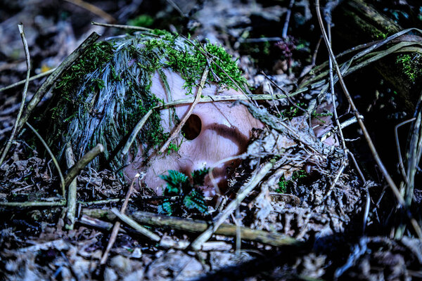 Eastern Europe, Ukraine, Pripyat, Chernobyl. Remains of doll, toy covered in moss and debris.