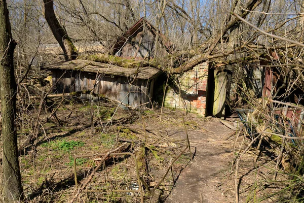 Europa Del Este Ucrania Pripyat Chernobyl Restos Casa — Foto de Stock