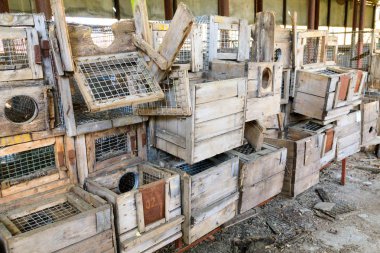 Eastern Europe, Ukraine, Pripyat, Chernobyl. Crates used in animal research on minks. clipart