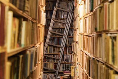 Avrupa, Fransa, Haute-Vienne, Limoges. 5 Eylül 2019 'da. Limoges 'deki dükkanda eski kitaplar.