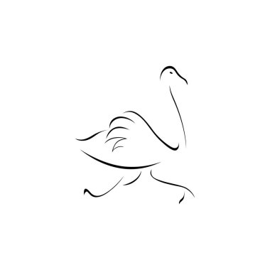 Devekuşu simgesi logosu serbest vektör