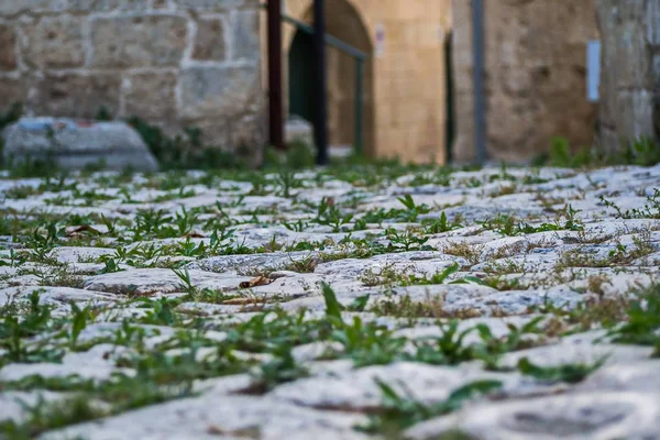 Çim en iyi taş. Otranto'daki Arnavut kaldırımlı sokak. Güney İtalya'nın küçük kasabaları.