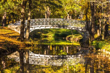 Temiz su üzerinde yeşillik belirtileri biridir
