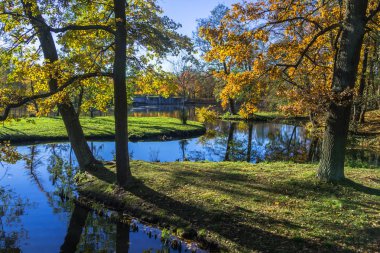 Temiz su üzerinde yeşillik belirtileri biridir