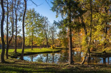 Temiz su üzerinde yeşillik belirtileri biridir