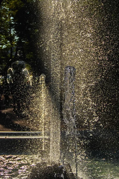 夏の庭の噴水をスプレーします サンクトペテルブルクの古い文化遺産 — ストック写真