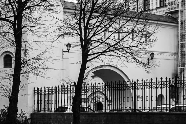 Svart Vitt Levande Döda Theodore Katedralen Petersburg — Stockfoto