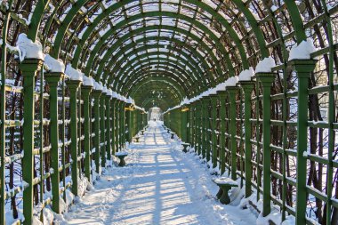 Pergola yaz bahçesinde. Şubat ayında St. Petersburg.