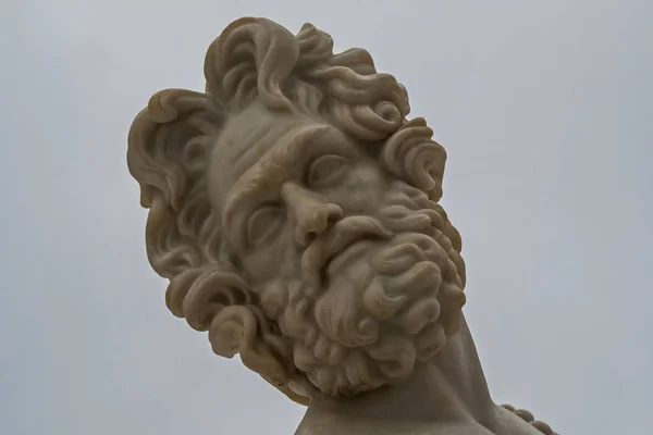 At-adamları köprü Nehri üzerinde Slavyanka dekorasyon birinin yüzü. Şubat. Pavlovsk. Park.