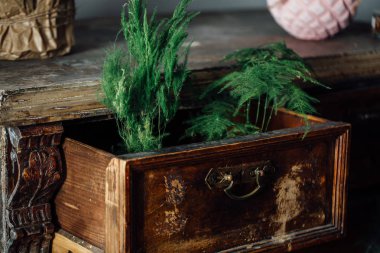 Ferns vintage bir göğüs açık kutularda. eski Çekmeceli. yaşlı mobilya, Dekorasyon.