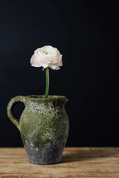 Egyetlen finom rózsaszín buttercup virág a vintage vázában egy fából készült asztal. — Stock Fotó