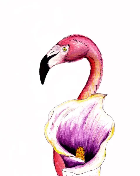 Flamant Rose Réaliste Avec Fleur Calla Illustration Aquarelle Dessinée Main — Photo