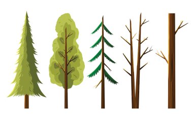 Çeşitlilik ağaç izole beyaz illüstrasyon vektör