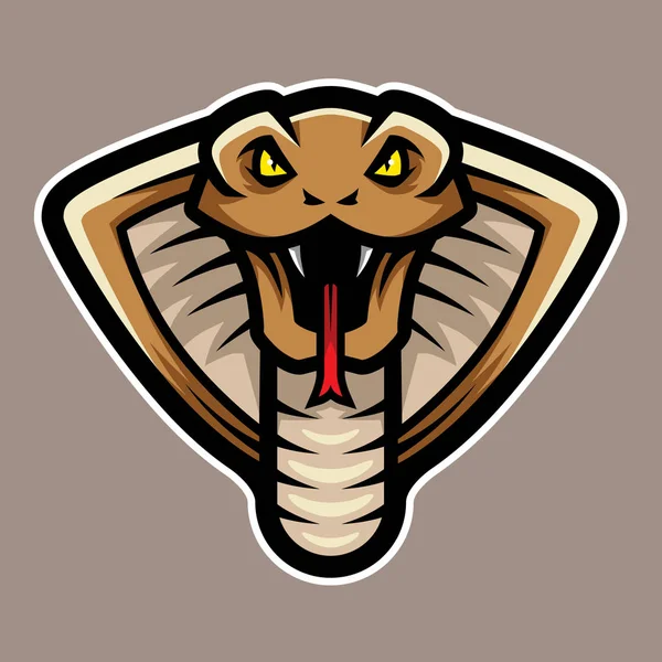 Cobra Snake Hoofd Logo Mascotte — Stockvector