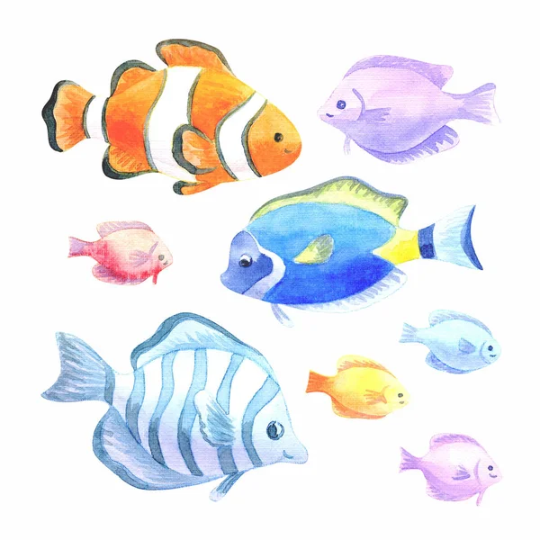 Beautiful Exotic Fishes Set Colorful Hand Drawn Illustrations Isolated White — Stock Photo, Image