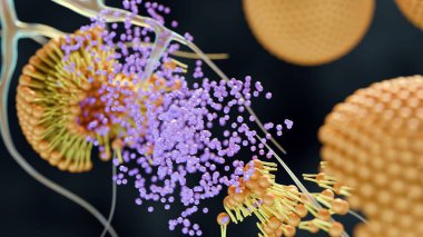 A 3d rendering of the moment a nanocarrier or liposome delivers its therapeutic payload to a specific target or nervous system at a microscopic level.