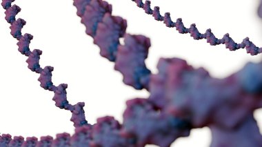 A 3d rendering of molecular illustration of RNA or Ribonucleic Acid. It has critical role in the cell for gene expression, where it acts as a messenger, adapter, and structural component.