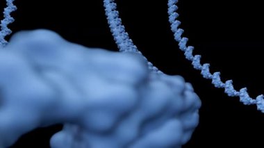 A 3d animation of molecular illustration of RNA or Ribonucleic Acid. It has critical role in the cell for gene expression, where it acts as a messenger, adapter, and structural component