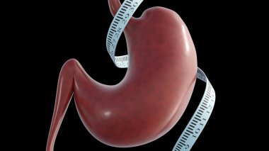 3D rendering of a stomach and flexible measuring tape, that links a human stomach with themes of measurement, weight loss, or restrictive medical procedures.