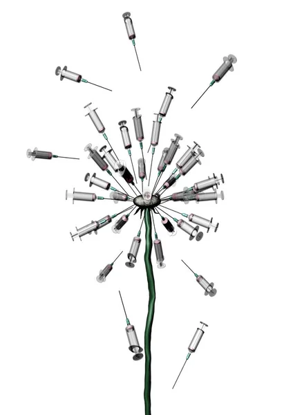 Karahindiba tohum şırınga şeklinde dağılmış