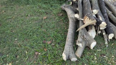 Yatay bir fotoğraf yeşil çimlerin üzerinde yeni kesilmiş bir odun yığını gösteriyor. Günlükler farklı boyutlarda ve çerçevenin sağ tarafında solda boş bir boşluk var..