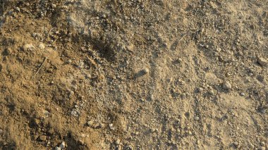 Kum ve toprak dokusunun yukarıdan aşağıya, yüksek açılı görüntüsü. Zemin, engebeli yüzeye birkaç kuru yaprak ve sopa serpiştirilmiş küçük taşlar, çakıl taşları ve ince kumlardan oluşuyor..