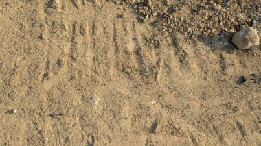 Kumlu, kirli bir yolun tepeden tırnağa görüntüsü. Yüzeyde lastik izleri, birkaç hayvan izi, dağınık taşlar ve sağ tarafta daha büyük bir kaya parçası gibi çeşitli dokular var..