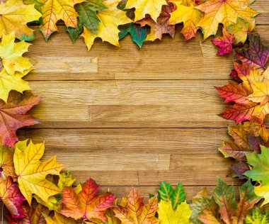 Düşmüş akçaağaç yapraklı ahşap yüzey