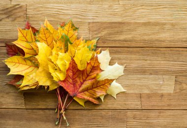 Düşmüş akçaağaç yapraklı ahşap yüzey