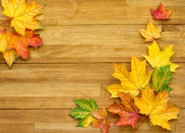 Düşmüş akçaağaç yapraklı ahşap yüzey