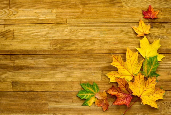 Wooden Surface Fallen Maple Leaves — Stock Photo, Image