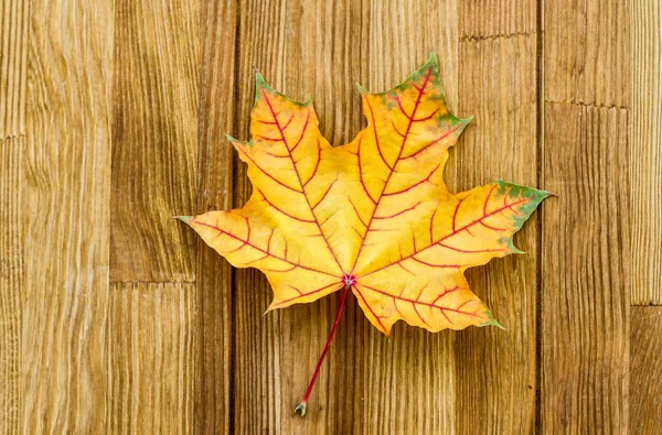 Wooden Surface Fallen Maple Leaf — Stock Photo, Image