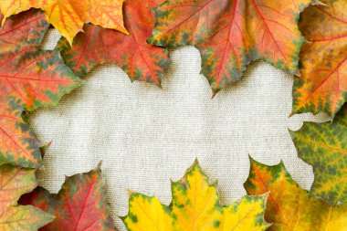 Düşmüş akçaağaç yaprakları çerçeveli masa örtüsü dokusu arka planı