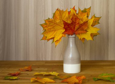 Tahta bir masada sonbahar yaprakları. Parlak ve güzel sonbahar arkaplanı